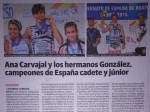 diariosur